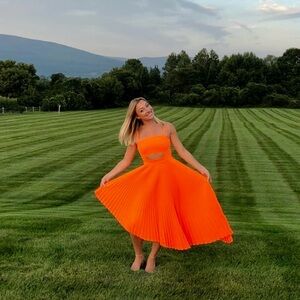 Milly pleated Eliza dress size 2 in Flor